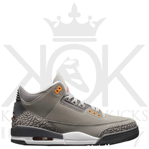 Air Jordan 3 Cool Grey
